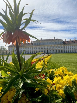 Blumen im Schlossgarten Oberschleißheim