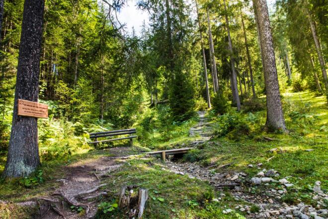 einfach herrlich in der Natur