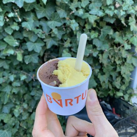 Eissorten Schokoladen- und Mangosorbet