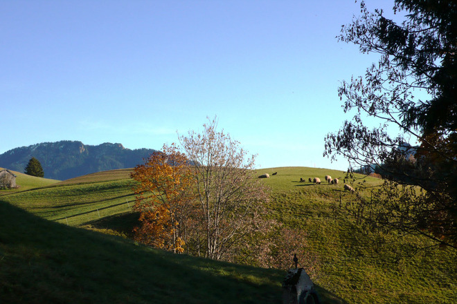 Wanderung Ammergauer Wiesmahdweg