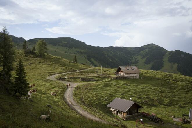 Bergalm im Rofan, Münster