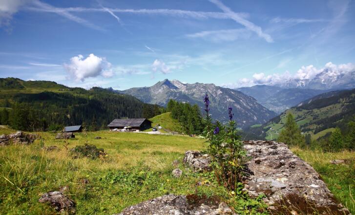 Großwildalm