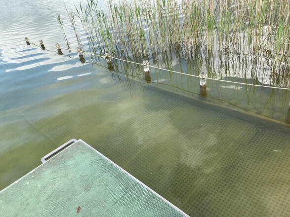 Barrierefreier Seezugang