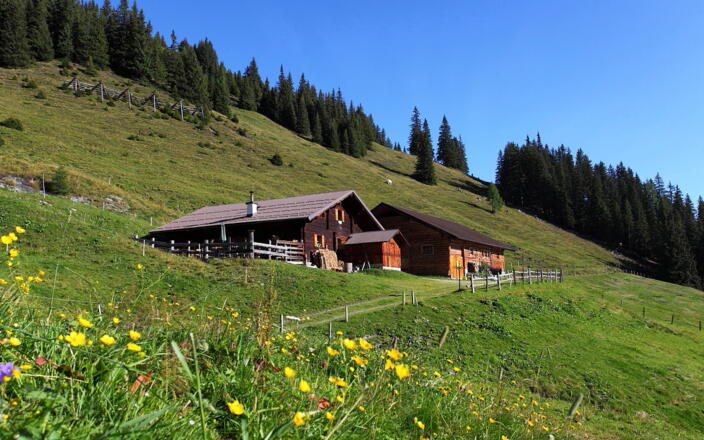 Vorderkaseralm