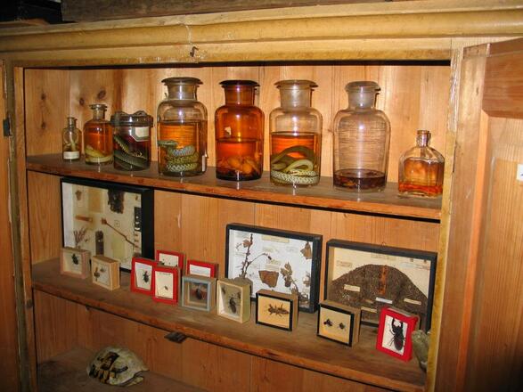 Sammlung an Fundstücken im Dorfschulmuseum Daxberg