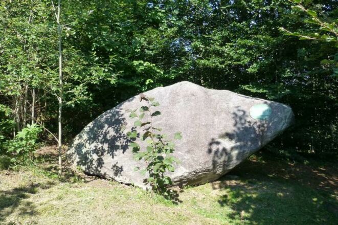 Naturdenkmal Grauer Stein