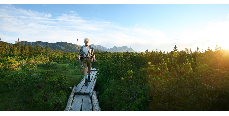 Löckermoos in Gosau am Dachstein