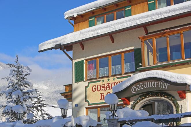 Gosauerhof Winter