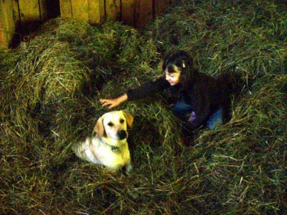 Hund Cindy tobt mit Kinder im Heu