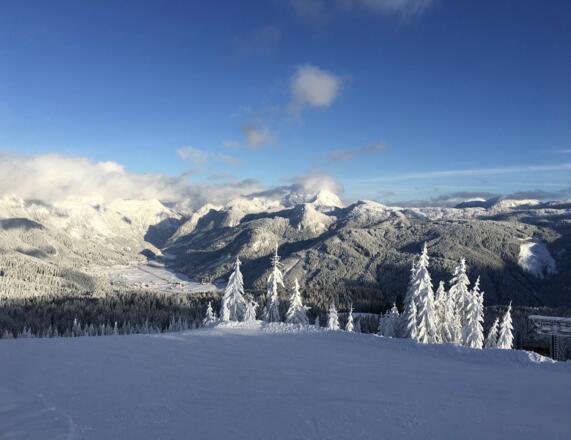 Gosautal im Winter