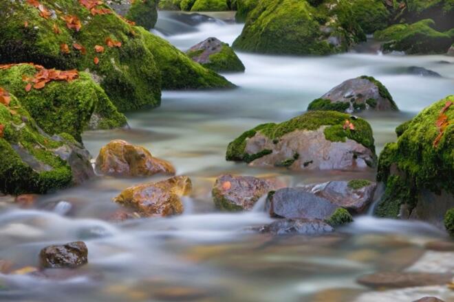 Waldbach im Echerntal in Hallstatt