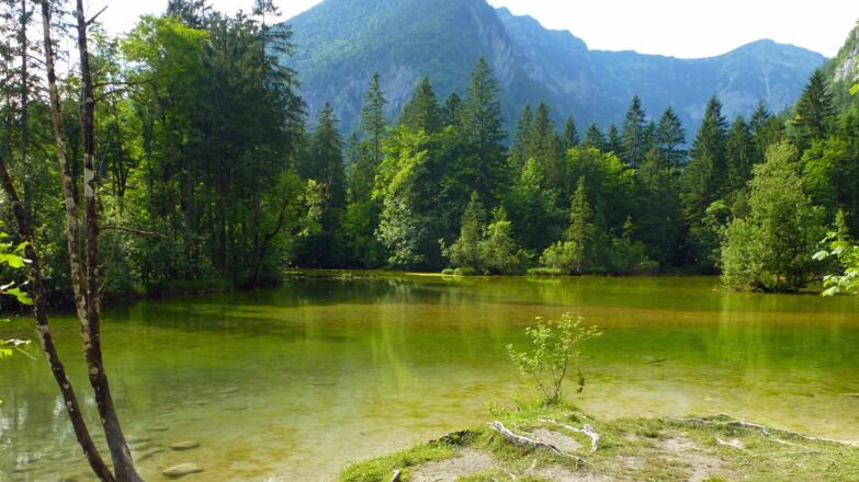 Koppenwinkl Obertraun