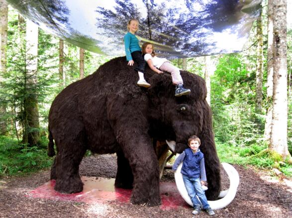 Mammut