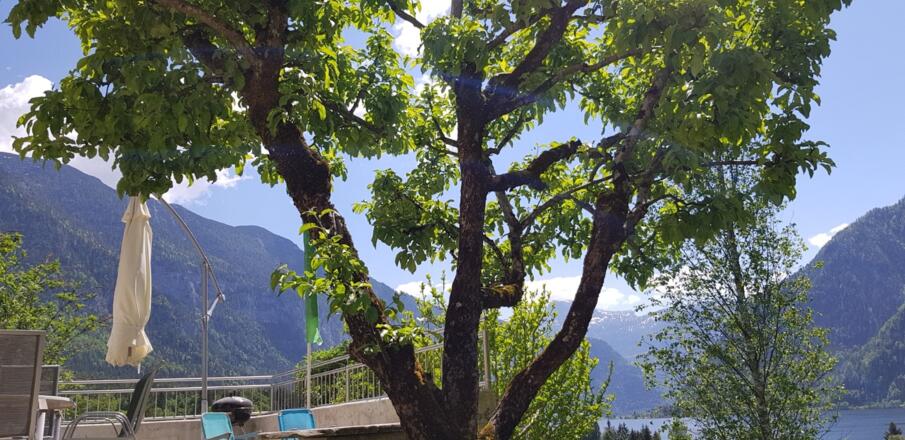 Natur
