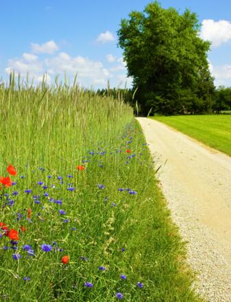 Fitnessparcours St. Wolfgang