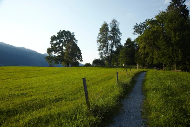 Weg durch die Wiesen