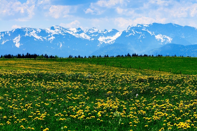 Ausblick auf die Berge