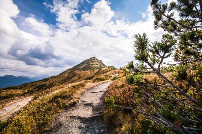 Wanderweg zum Gipfel