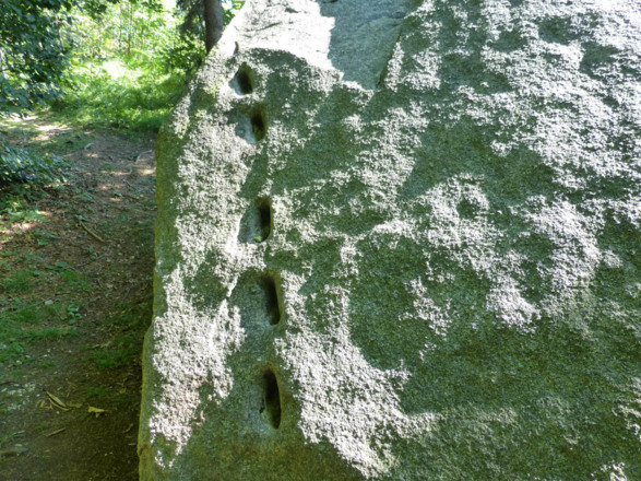 Interessantes Detail am Naturdenkmal Grauer Stein