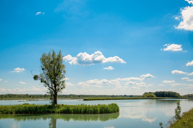 Europareservat Unterer Inn