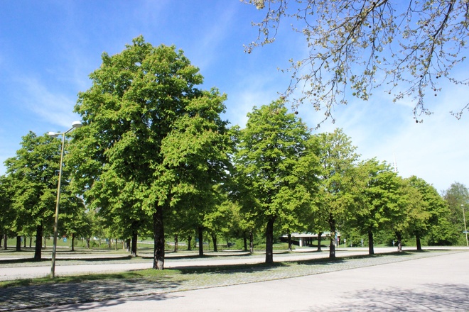 Parkplatz am Olympiapark