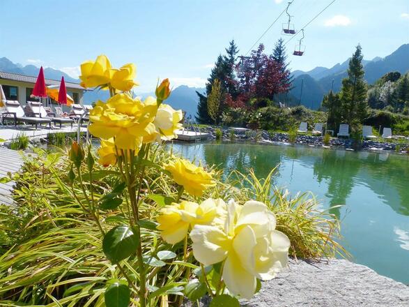 Herbst Naturpool