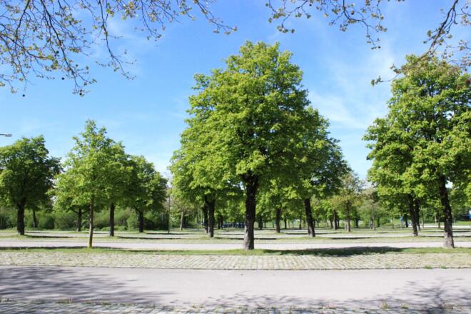 Parkplatz Sapporobogen