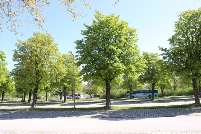 Flohmarktplatz am Olympiaparkplatz