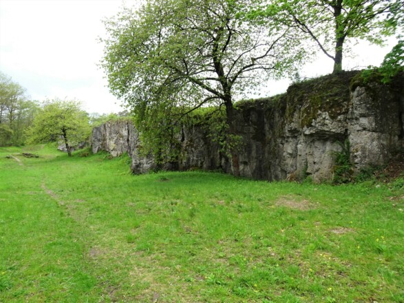 Rundweg 6 Zum Grüber Stein - Grub am Forst