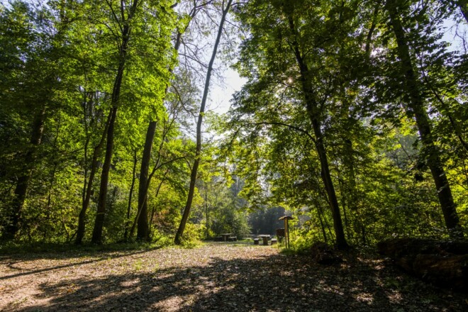 Weg zum Himmelblauen See im Stadtwald von Moosburg a. d. Isar