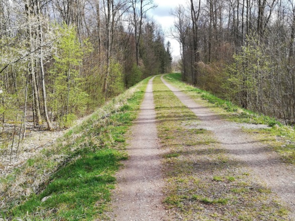 Isardamm am Isarufer in Moosburg a. d. Isar