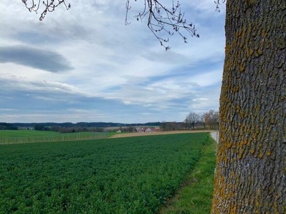 Blick auf Gütlsdorf