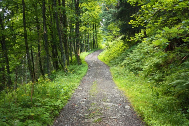 Auf dem Weg zur Truckenthannalm