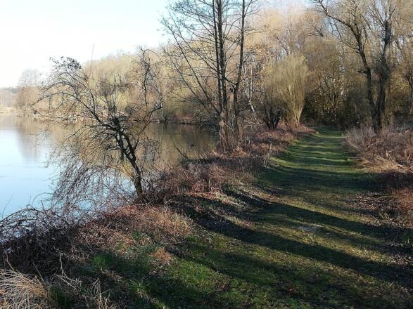 Naturweg entlang des Flußufers der Amper