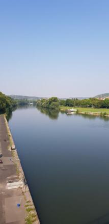 Schleifenroute - Blick von neuer Mainbrücke Richtung Würzburg