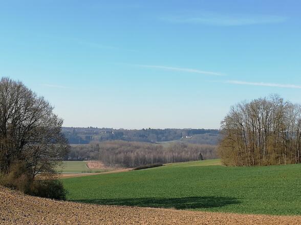 Ausblick auf das Ampertal