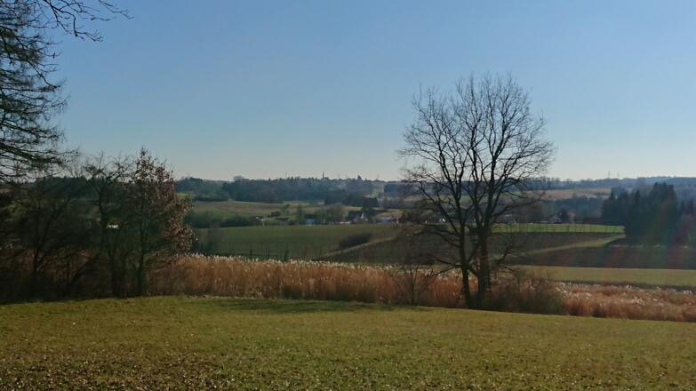 Blick auf die Hallertauer Hügellandschaft