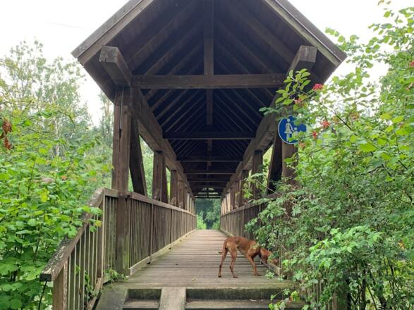Fußweg über die Amperbrücke bei Weng