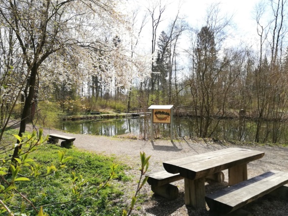 Himmelblauer See im Stadtwald von Moosburg a. d. Isar