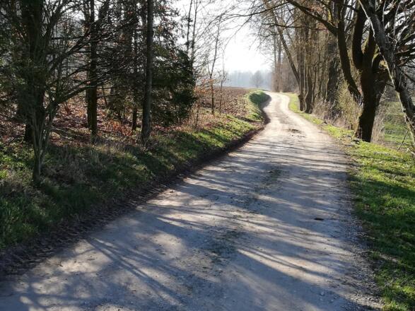 Waldrand Richtung Galgenberg und Hartshausen