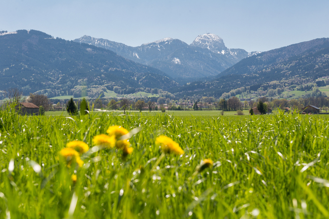 Grüne Wiese in Bad Feilnbach