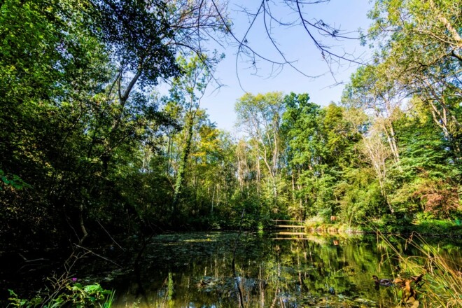 Himmelblaue See im Stadtwald von Moosburg a. d. Isar