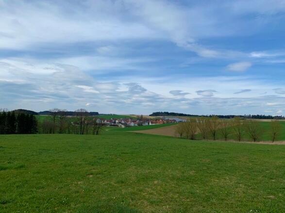 Blick auf Staudhausen