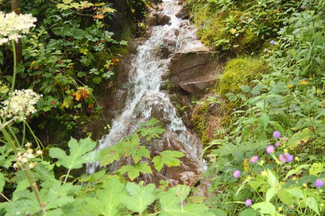 Kleiner Wasserfall am Weg zur Truckenthannalm