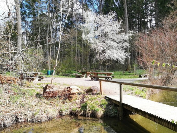 Rastmöglichkeit am Himmelblauen See im Moosburger Stadtwald