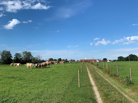 Wanderweg bei Schlipps