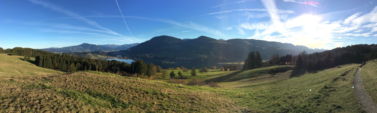Panorama
