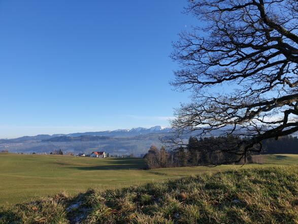 Ausblick zur Nagelfluhkette