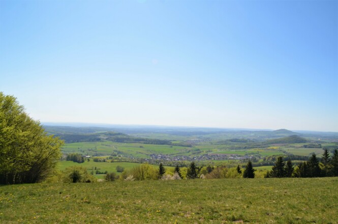 Extratour Waldfenster