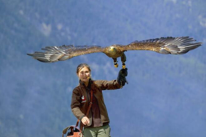 Greifvogelpark2 Gebhard Schranz TVB Oetztal Soelde